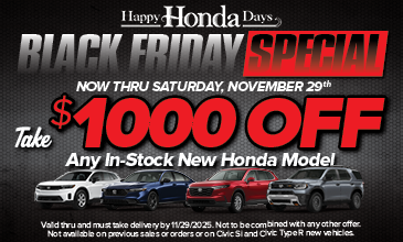 Black Friday Special