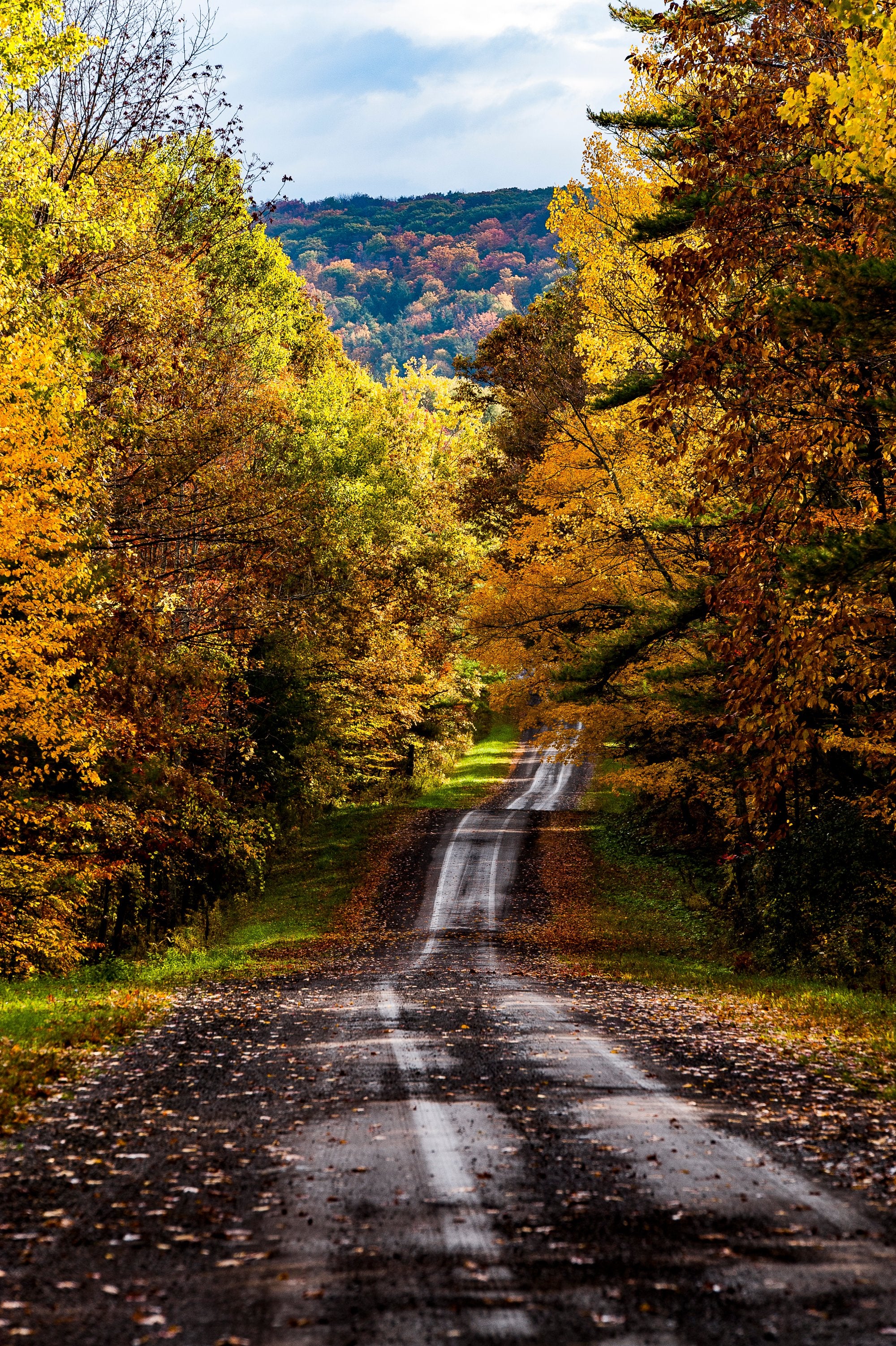 Leaf-Peeping Road Trip Prep